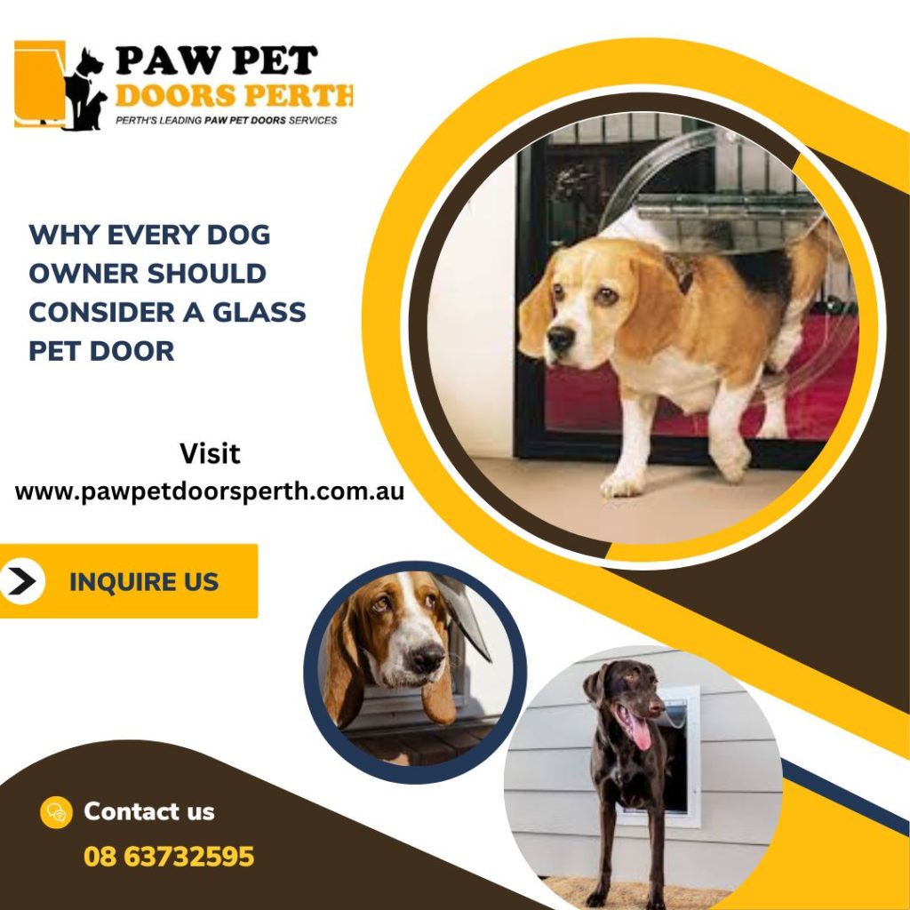 Why Every Dog Owner Should Consider a Glass Pet Door