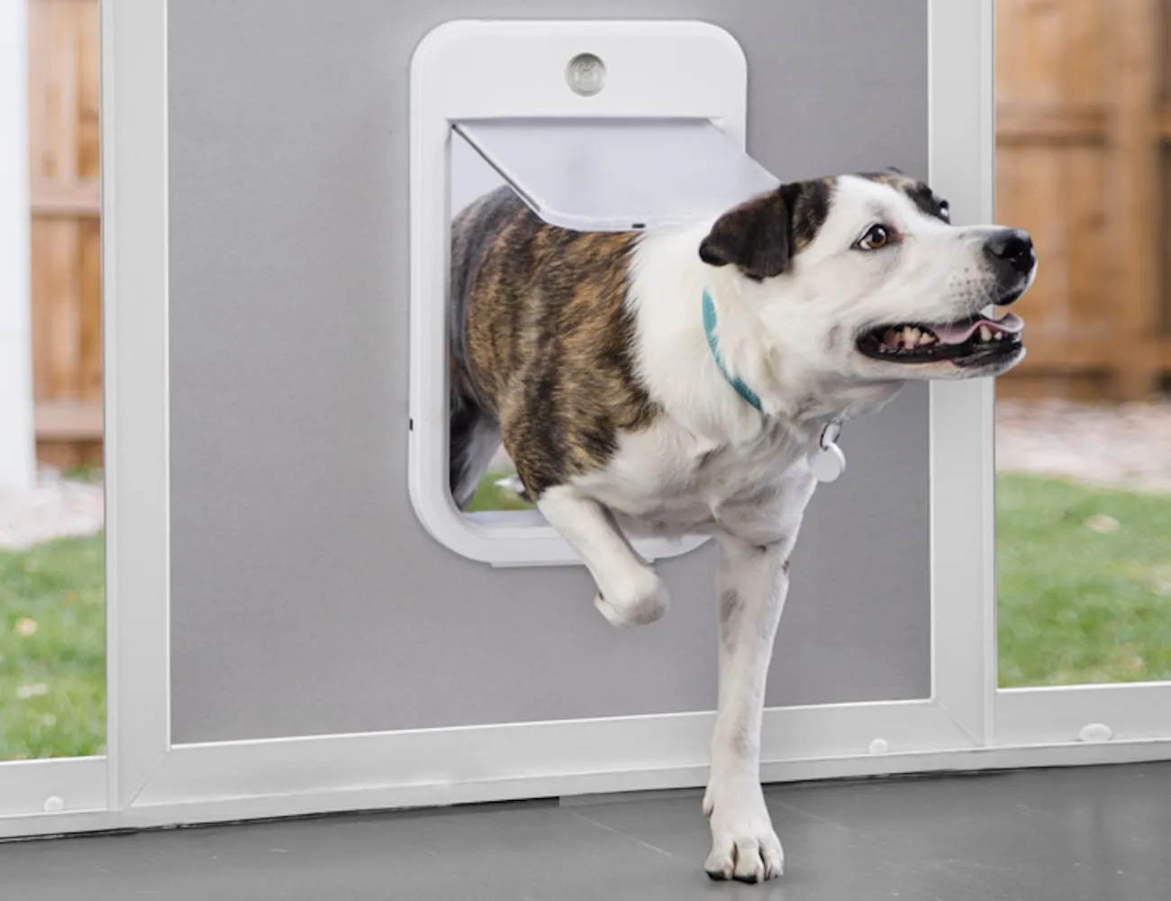 Electronic Pet Doors Installation Perth