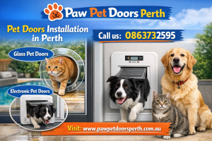 Pet door solutions for your home